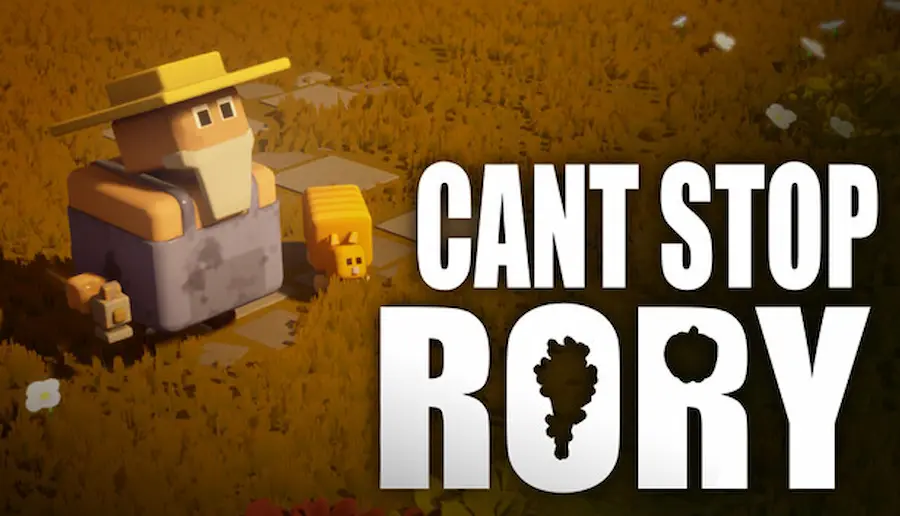 Can't Stop Rory cover